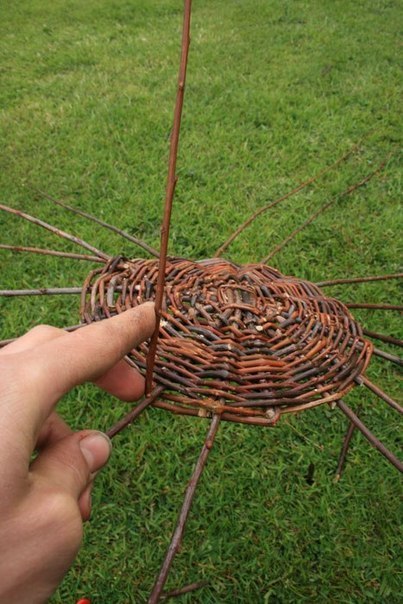 Плетем корзинку из ивовых прутьев. мастер-класс.