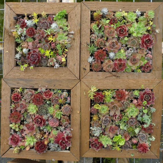 Вертикальные сады. идея для декора.