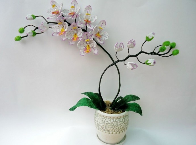 Нежные орхидеи их бисера
