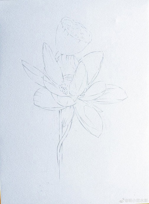 Урок рисования акварелью: лотос