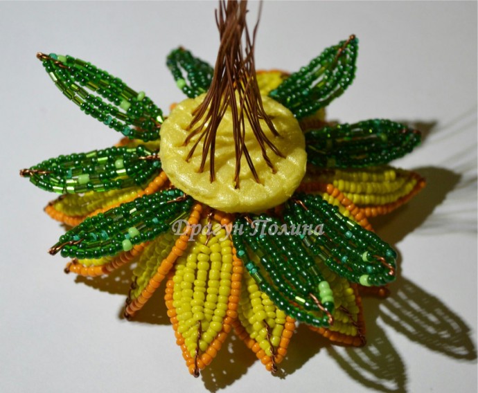 ​Солнечные подсолнухи