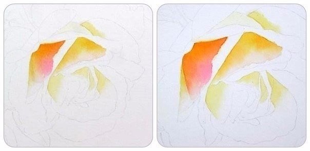 Учимся рисовать розу акварелью