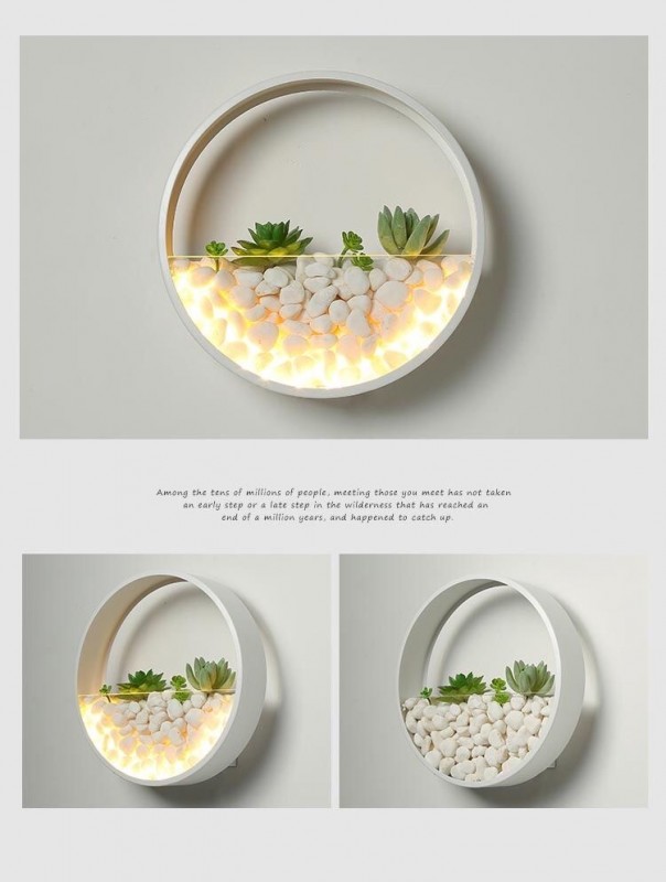 Оригинальные настенные горшки для цветов