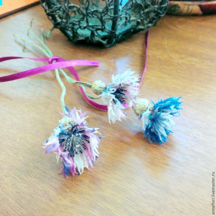 6 способов засушить васильки