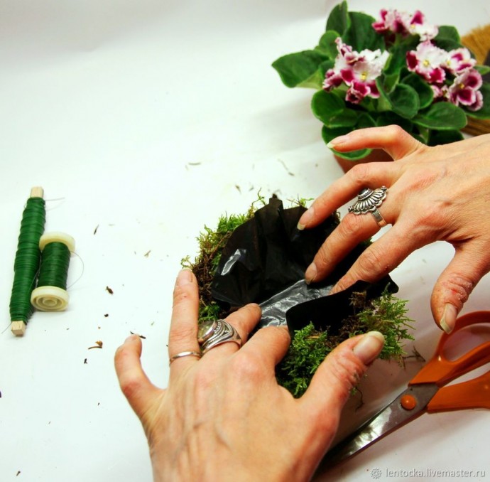 Лесной мох в интерьере