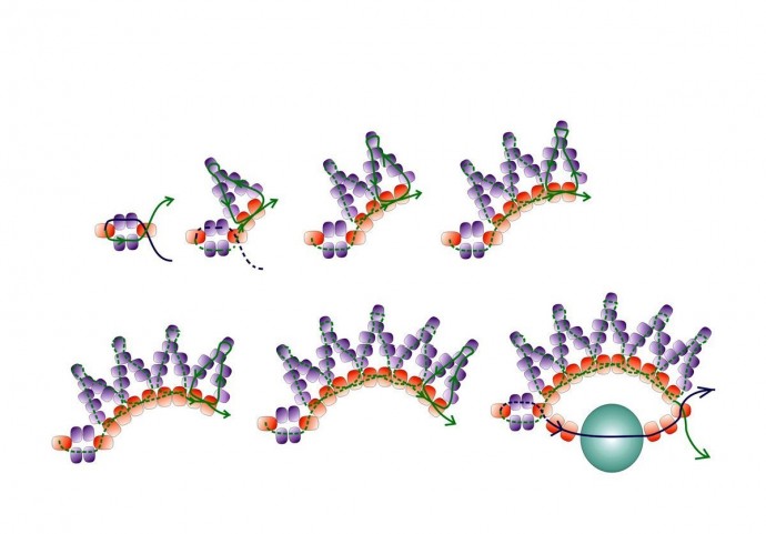 ​Бисероплетение с остроугольным узором