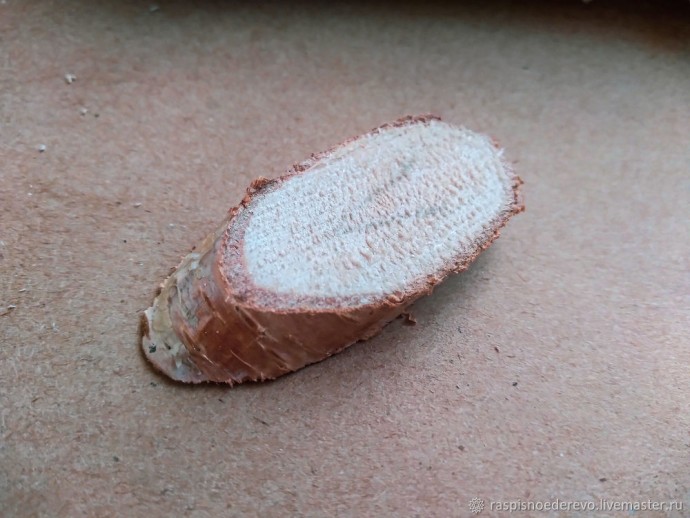 Расписная брошь-улитка