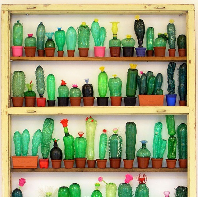 Кактусы из пластиковых бутылок: идеи для творчества