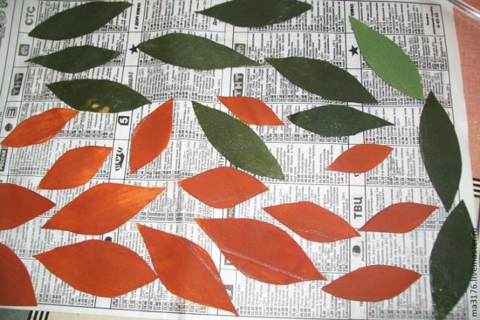 Огненная лилия