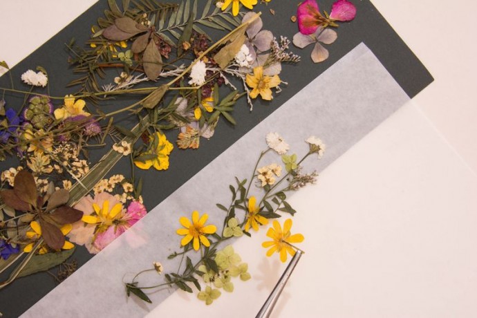 Закладка-гербарий "Мгновения"