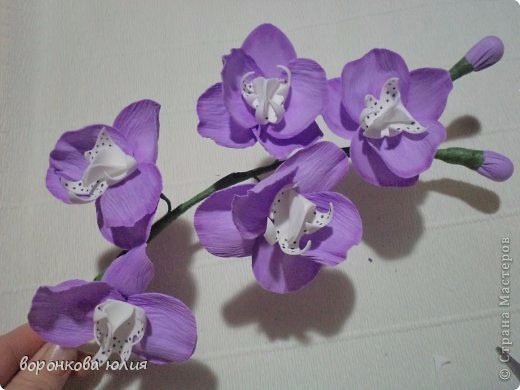 Орхидеи из фоамирана: мастер-класс