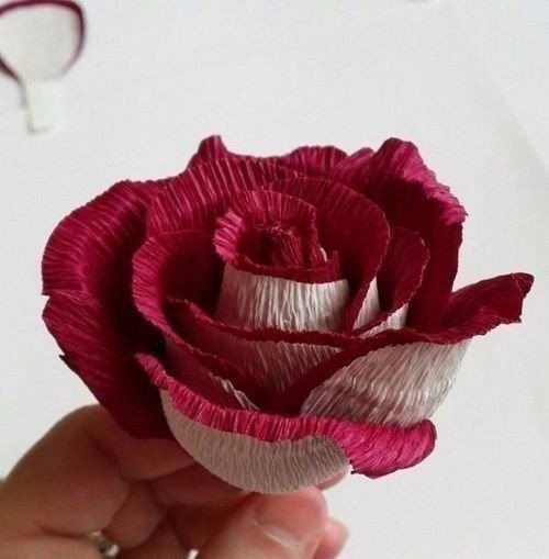 Двухцветная розa из бумаги: красивая идея для творчества