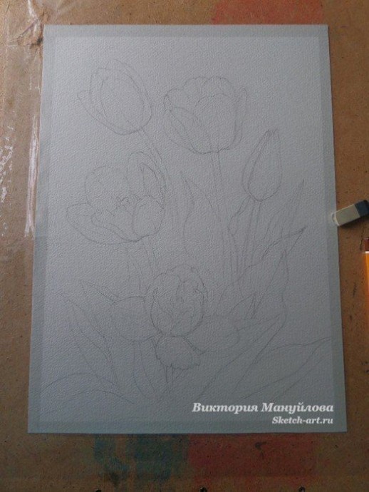 ​Урок рисования: тюльпаны