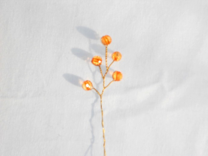 Янтарная россыпь