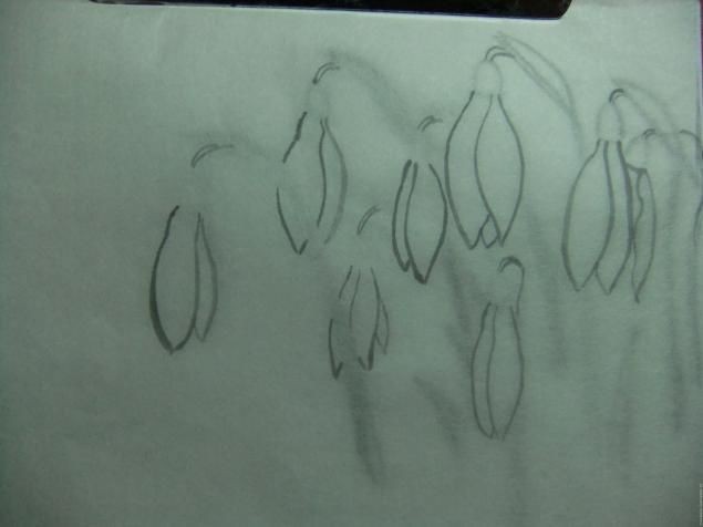 Рисуем подснежники