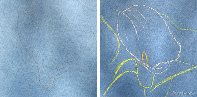 Рисуем пастелью изящный цветок калы