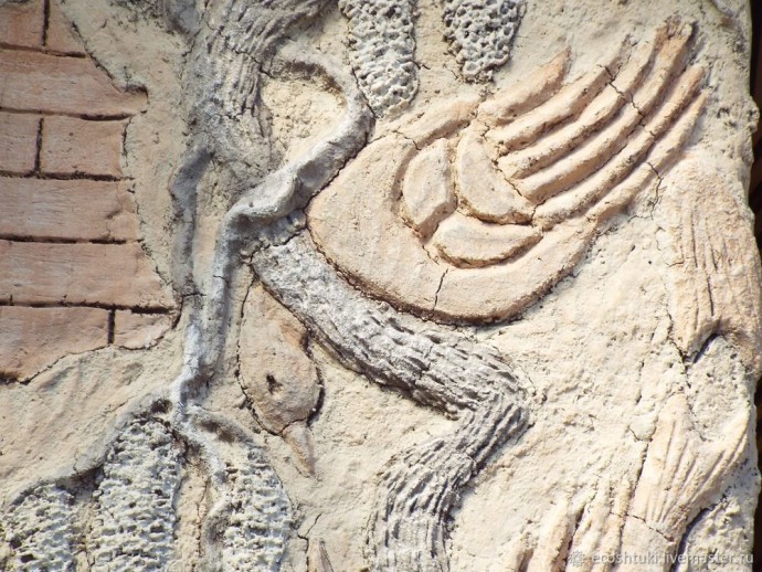 Лепнина из самана