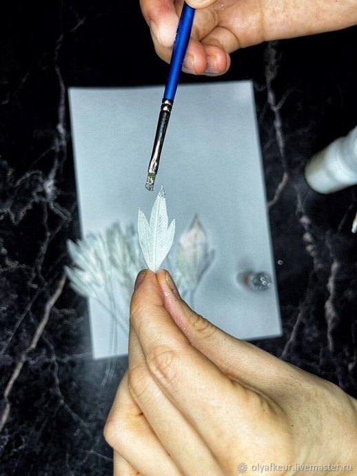 Белый цветок в раме