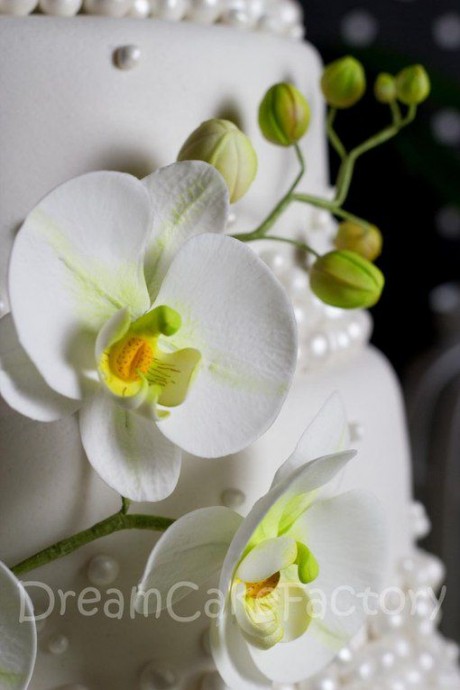 Орхидеи для украшения торта