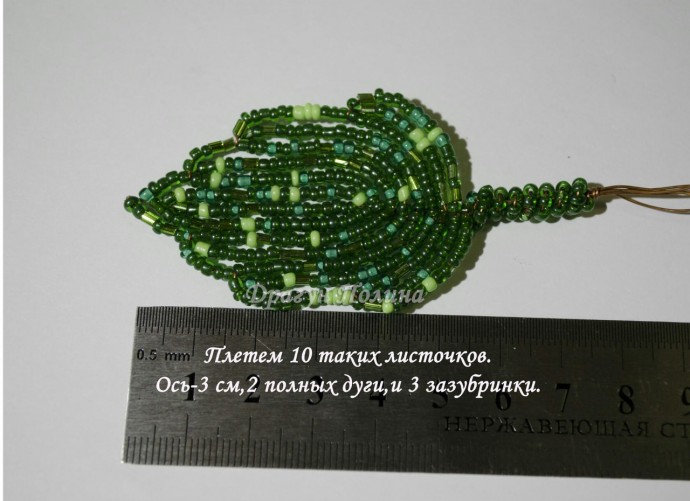 ​Солнечные подсолнухи