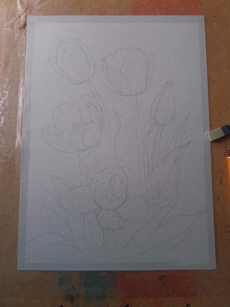 ​Рисуем тюльпаны