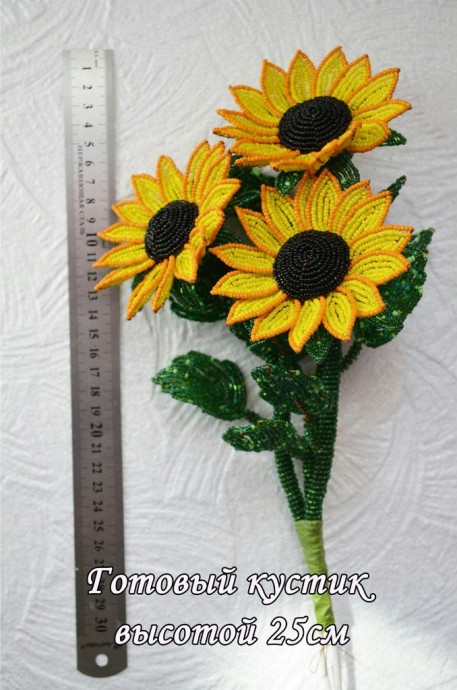 ​Солнечные подсолнухи