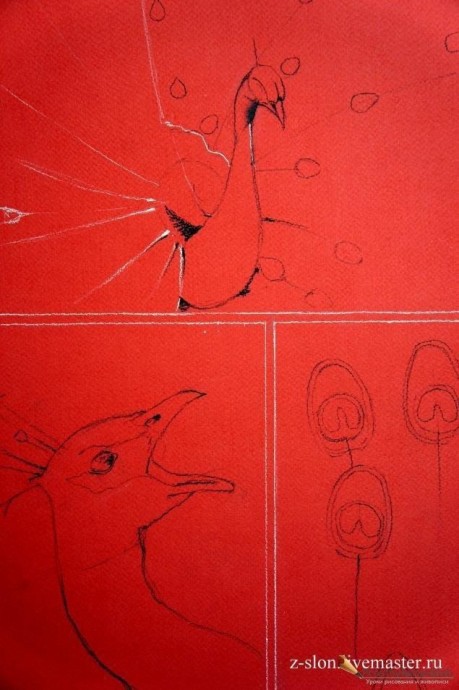 ​Рисуем павлина