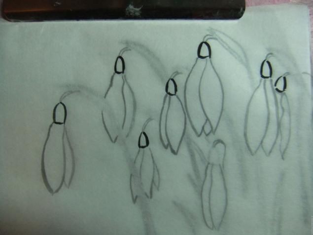 Рисуем подснежники