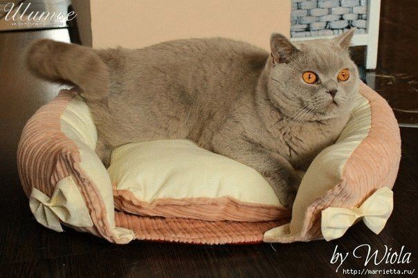 Красивая кроватка для кошки