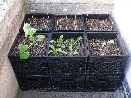 Интересные идеи для применения пластмассовых тарных ящиков