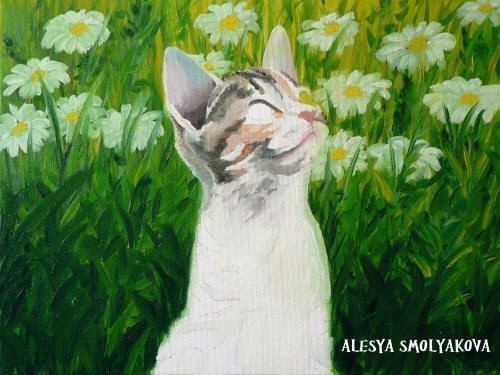 ​Котёнок среди ромашек