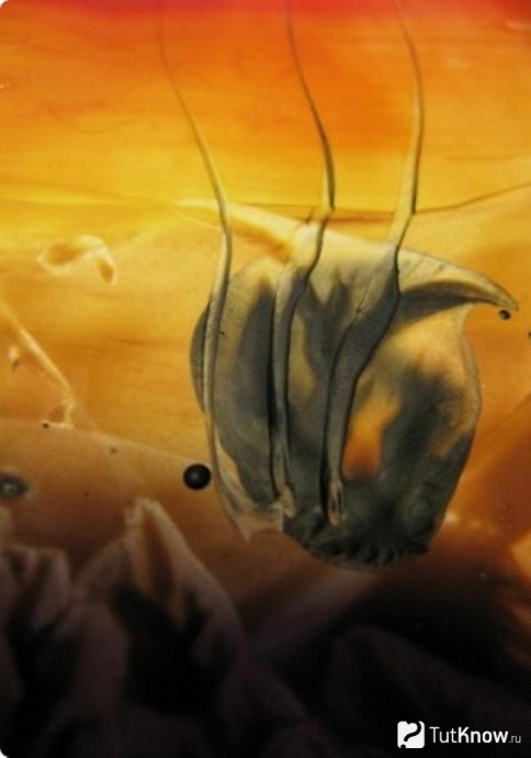 Как рисовать утюгом: техника для начинающих