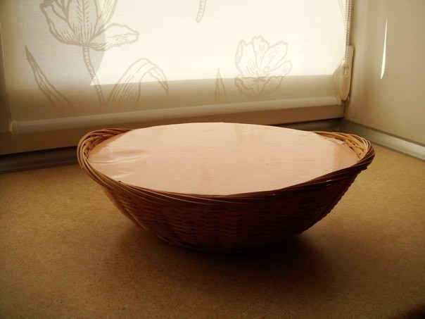 ​Сладкие крокусы