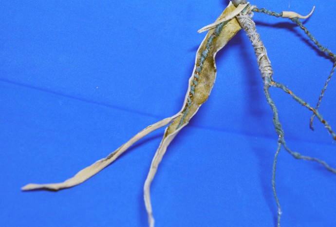 Фантастические твари