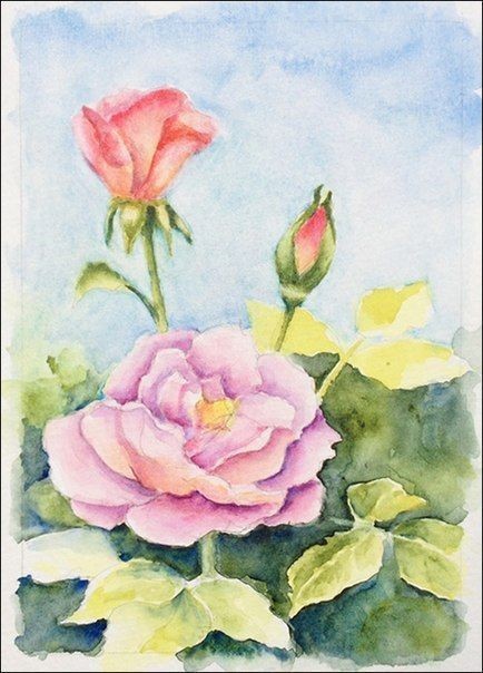 ​Рисуем чудесные розы