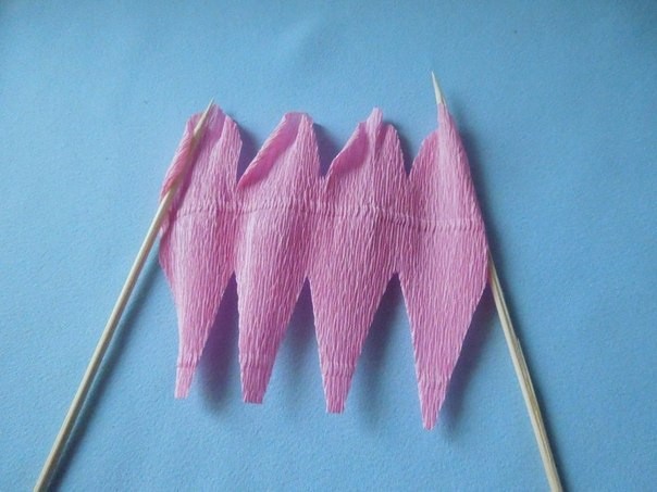 ​Пышная роза со сладким секретом