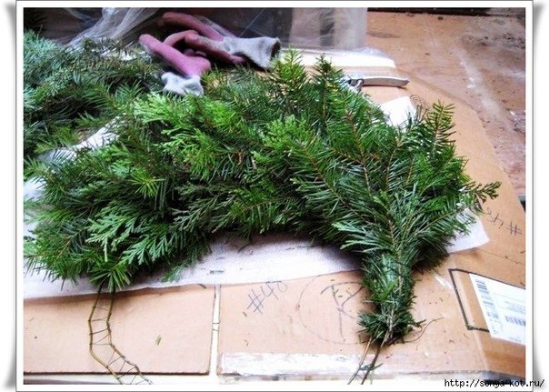 Хвойный венок