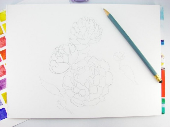 Рисуем пионы акварелью