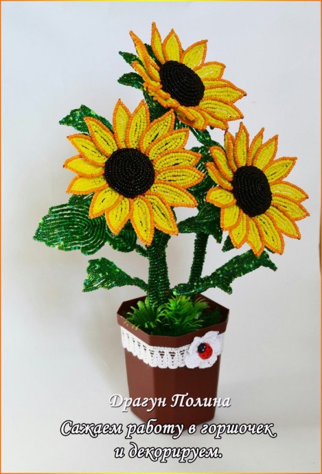 ​Солнечные подсолнухи