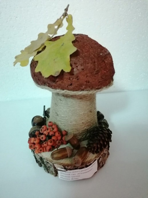 ​Интерьерные грибы: идеи для вдохновенного творчества