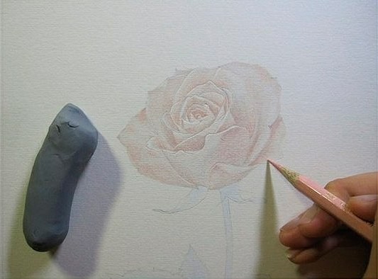 ​Чудесная роза карандашом