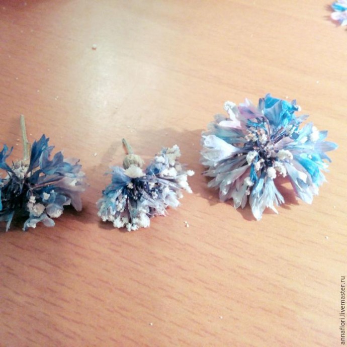 6 способов засушить васильки