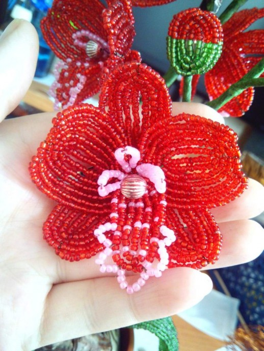 ​Чудесный букет орхидей