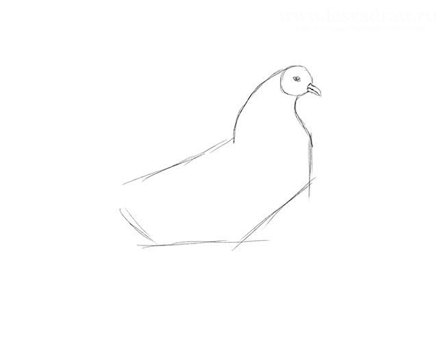 Рисуем петуха