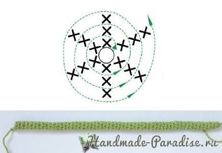 Гиацинт крючком