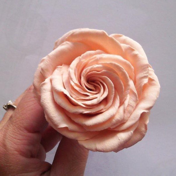 Роскошные розы из фоамирана: мастер-класс