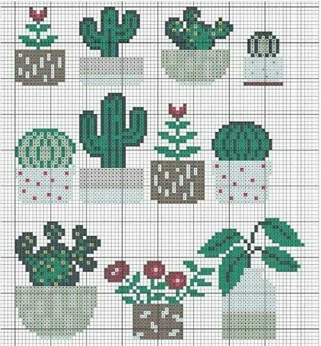 Вышиваем цветущие кактусы