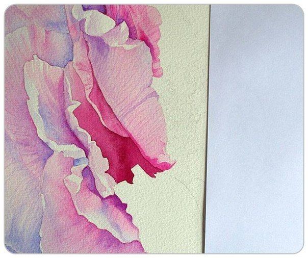 Акварельные цветы, наполненные солнечным светом