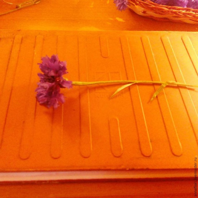 6 способов засушить васильки