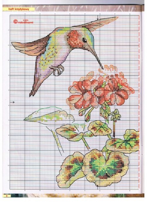 Маленькие колибри: подборка схем вышивки